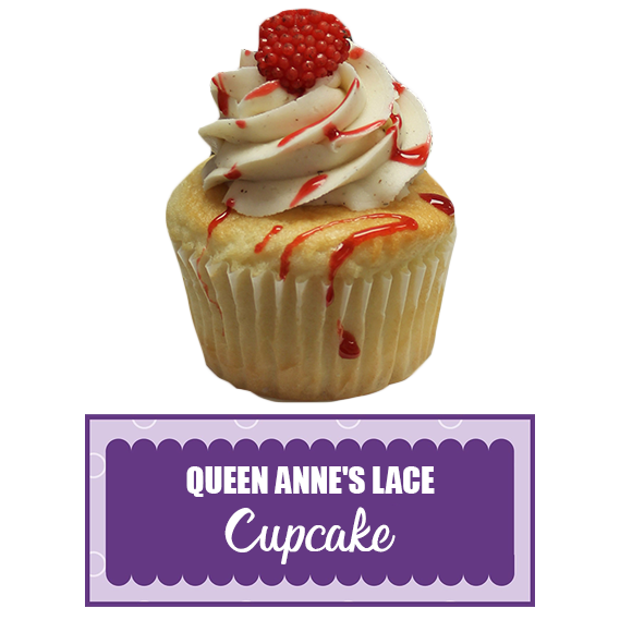 Queen Anne's Lace Cupcake No BG